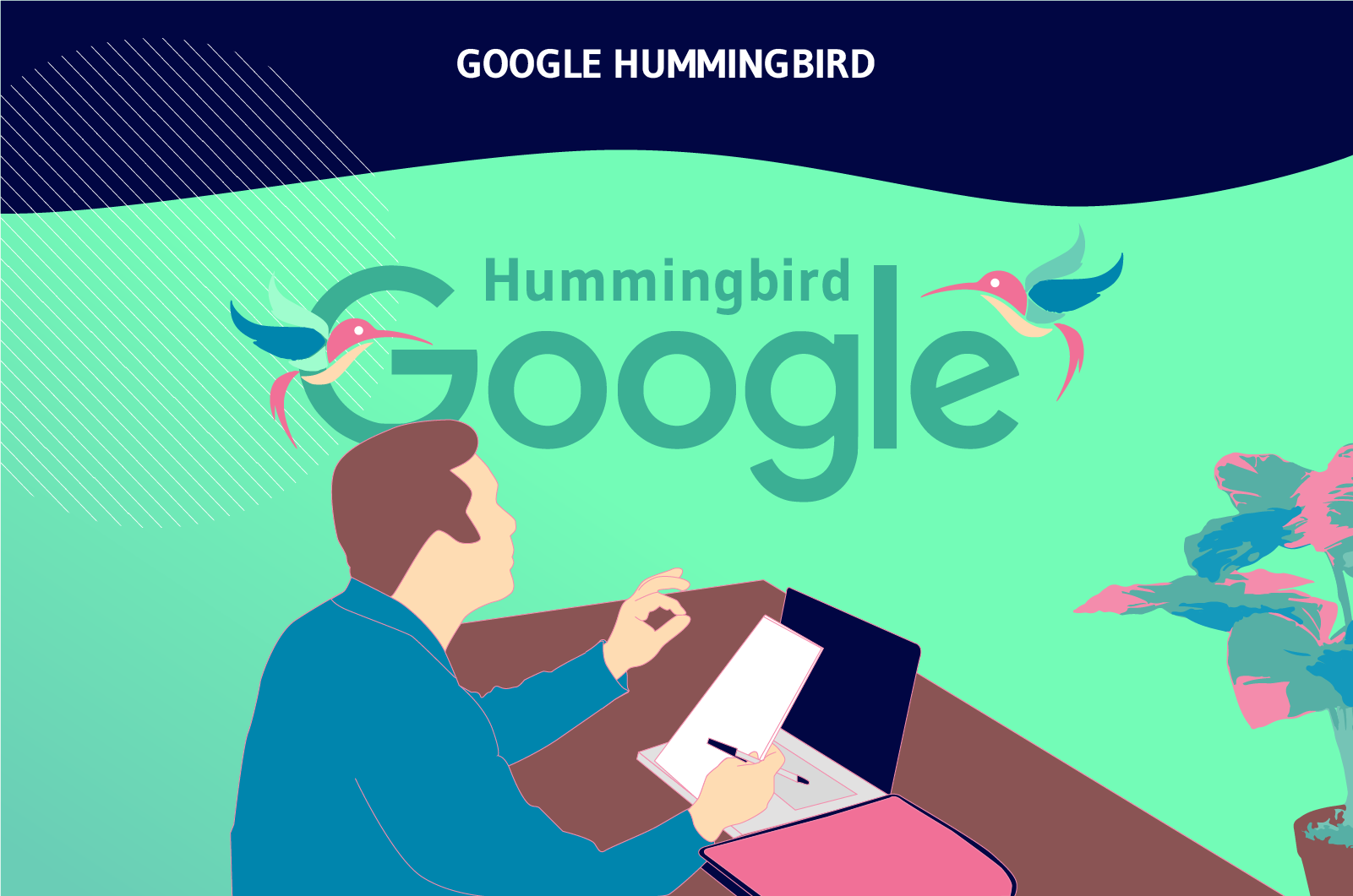 google_humingbird_2